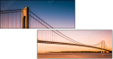 71420555