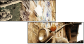7183828