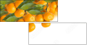 73416065