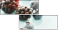 75558207