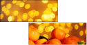 75658632