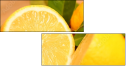 78139394