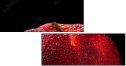78900295