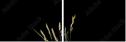 10925882
