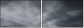 11361747