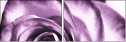 11865044