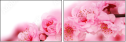 12025476