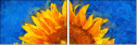 121341764