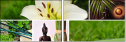 12445370