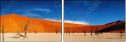 12976313
