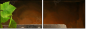 13276134
