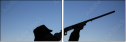 137171558