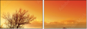 1384659
