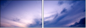 1556608