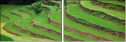 15713254