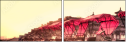 16482006