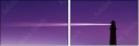 16699558