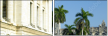 18153954