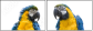 18738718