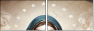 21622878