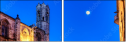 23156604
