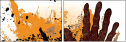 24093537