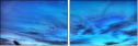 24586255