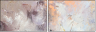 24599717