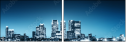 25231619