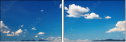 25295366