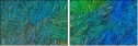 262122365