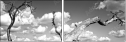 26523822
