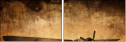 26874054