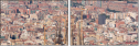 27269017