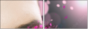 28365450