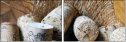 28670326
