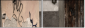 28835543