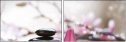 29082526