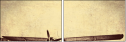 29827412