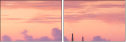 299813537