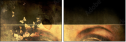 30149224