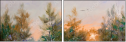 30276952