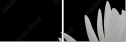 31116777