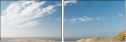 31531037