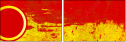 32019447