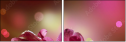 32312026