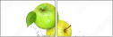 32812365