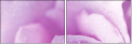 33326432