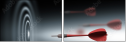 35036602