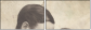 35225919